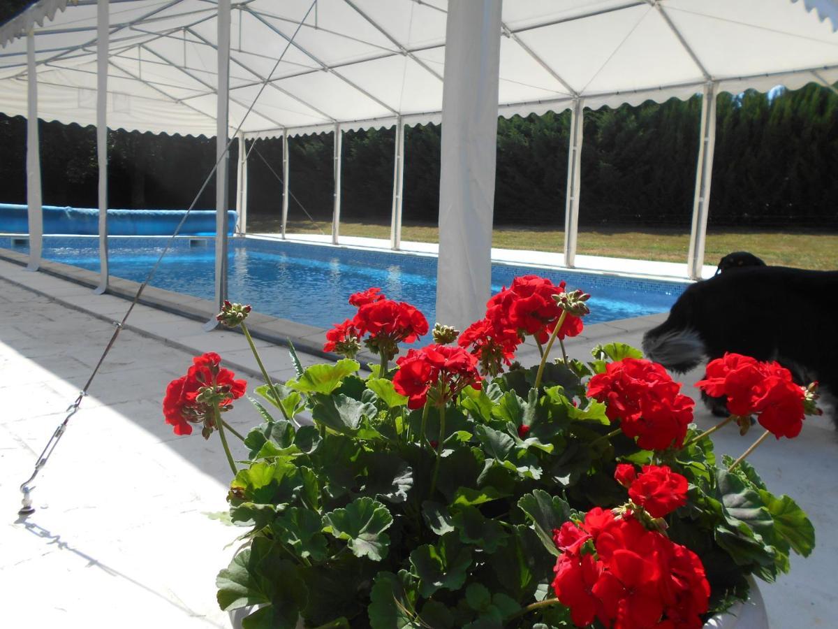 Les Bruyeres Bed & Breakfast Mery-sur-Cher ภายนอก รูปภาพ