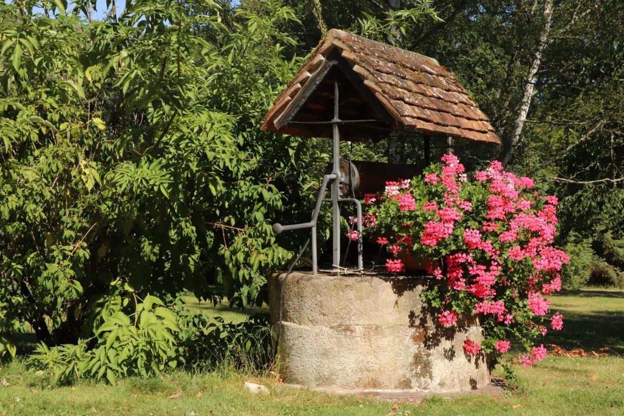 Les Bruyeres Bed & Breakfast Mery-sur-Cher ภายนอก รูปภาพ